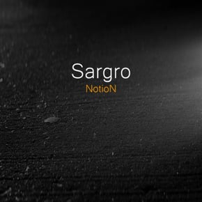 The Sargro L.P by Notion Cover Art