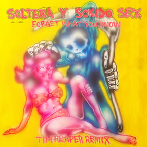 Forget What You Know (Tim Reaper Remix) by Tim Reaper, Soltera & Sonido Sex Cover Art