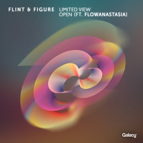 Limited View / Open by flowanastasia & Flint & Figure Cover Art