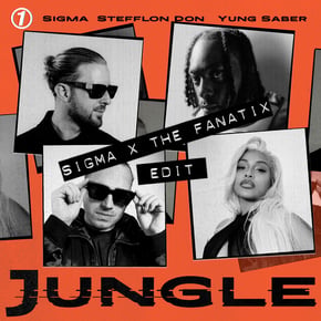 JUNGLE (Sigma x The FaNaTiX Edit) by Sigma Cover Art