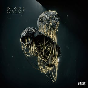 Unknown & Bring That by Diode Cover Art