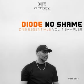 No Shame by Diode Cover Art