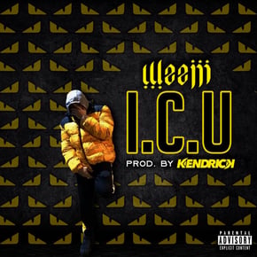 I.C.U by Weejii Cover Art