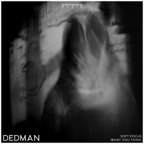 Soft Focus / What You Think by Dedman Cover Art