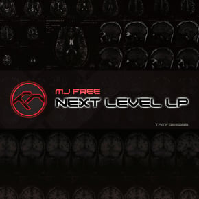 Next Level by MJ Free Cover Art