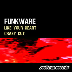 Like Your Heart / Crazy Cut by Funkware Cover Art