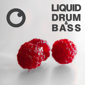 Liquid Drum & Bass Sessions 2020 Vol 16 : The Mix by Dreazz Cover Art
