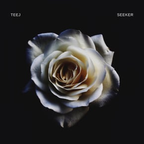Seeker by Teej Cover Art