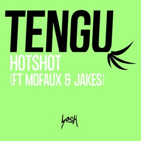 Hotshot by Tengu Cover Art