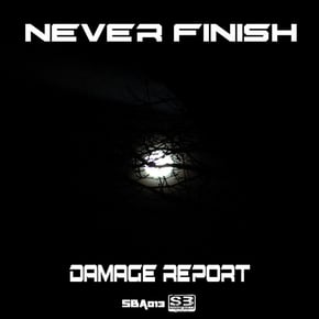 Never Finish by Ironlung & Damage Report Cover Art