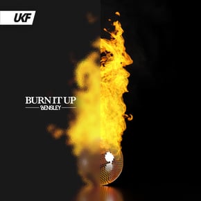 Burn It Up by Bensley Cover Art