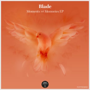 Moments and Memories EP by Blade (Dnb) Cover Art