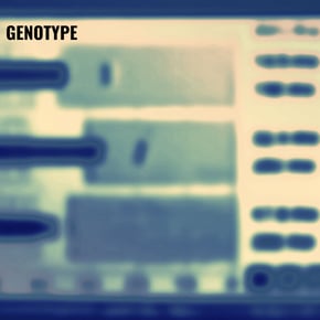 Full Range by Genotype Cover Art