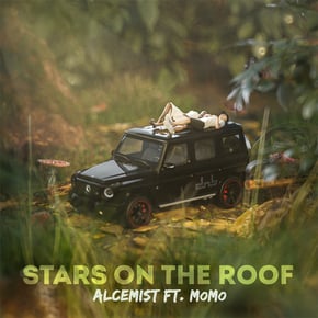 Stars On The Roof (feat. MOMO) by Alcemist Cover Art