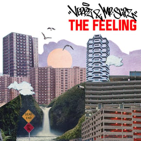The Feeling by Verbz & Mr Slipz Cover Art