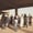 Tinariwen