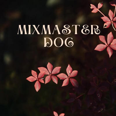 Mixmaster Doc Drum and Bass Artist Image
