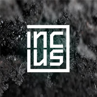 Incus Drum and Bass Artist Image