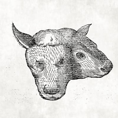 Temulent Drum and Bass Artist Image