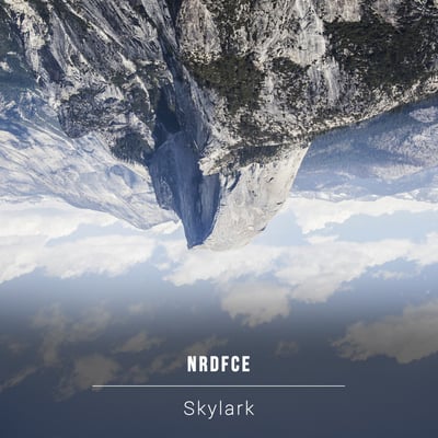 NRDFCE Drum and Bass Artist Image