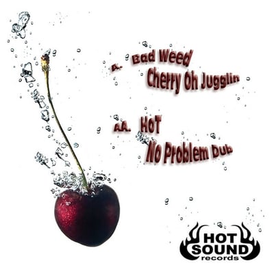 Bad Weed Drum and Bass Artist Image