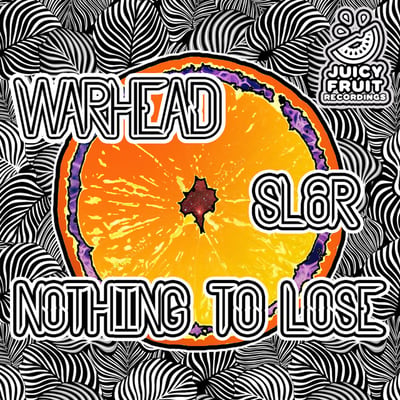 Nothing to Lose Drum and Bass Artist Image