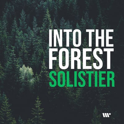 Solistier Drum and Bass Artist Image