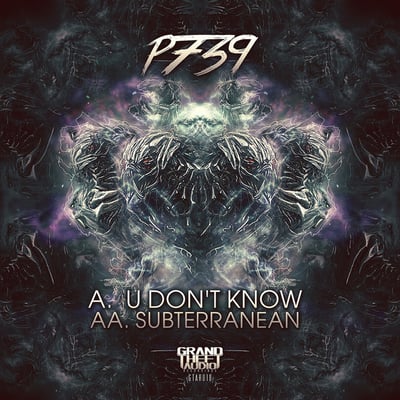 P739 Drum and Bass Artist Image