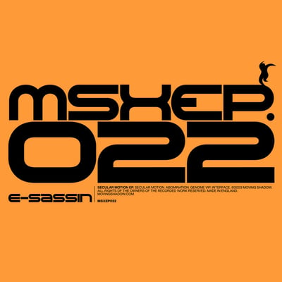 E-Sassin Drum and Bass Artist Image