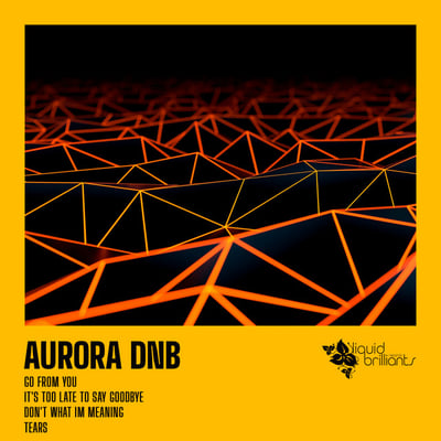 Aurora Dnb Drum and Bass Artist Image