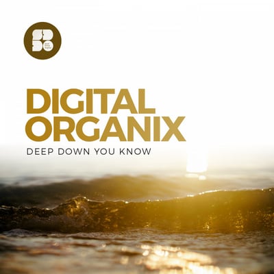 Digital Organix Drum and Bass Artist Image
