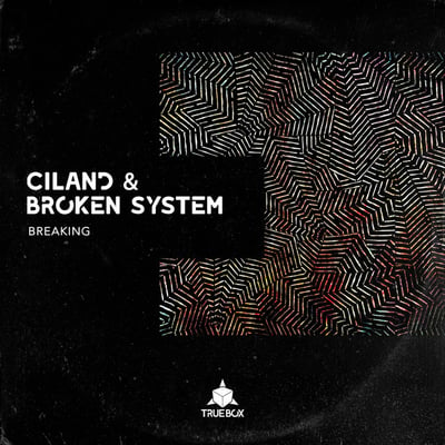 Broken System Drum and Bass Artist Image