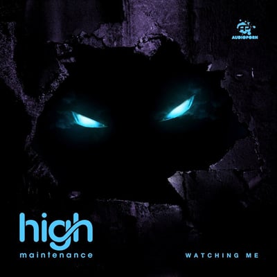 High Maintenance Drum and Bass Artist Image