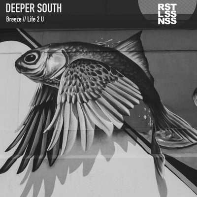 Deeper South Drum and Bass Artist Image