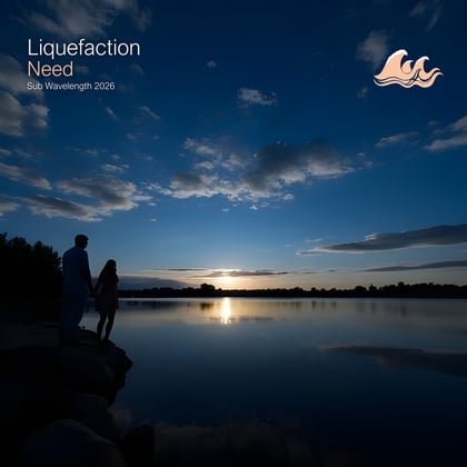 Need album by Liquefaction - Drum and Bass Cover Art