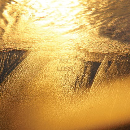 Loss album by ASC - Drum and Bass Cover Art
