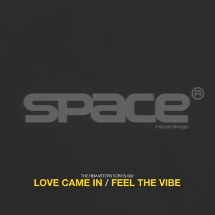 Love Came In / Feel The Vibe album by Sonic - Drum and Bass Cover Art