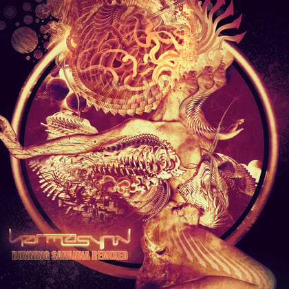 Running Savanna Remixed album by KarmasynK - Drum and Bass Cover Art
