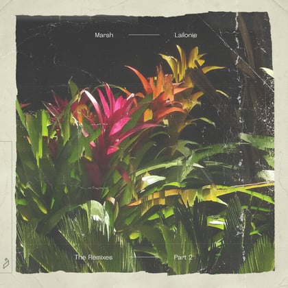 Lailonie (The Remixes: Part 2) album by Mollie Collins, Marsh & Braxton - Drum and Bass Cover Art