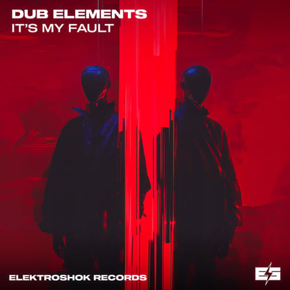 It´s My Fault album by Dub Elements - Drum and Bass Cover Art
