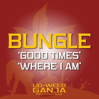 Good Times / Where am I album by Bungle - Drum and Bass Cover Art