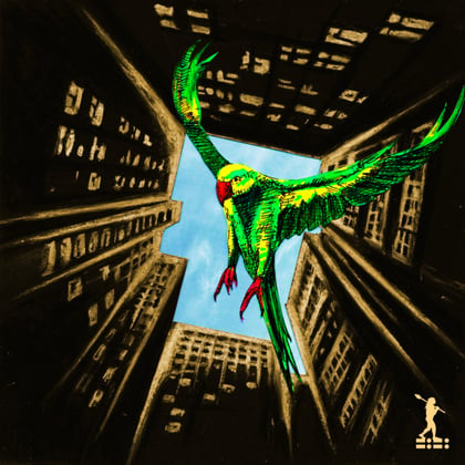 Life All Over album by Audiomission - Drum and Bass Cover Art