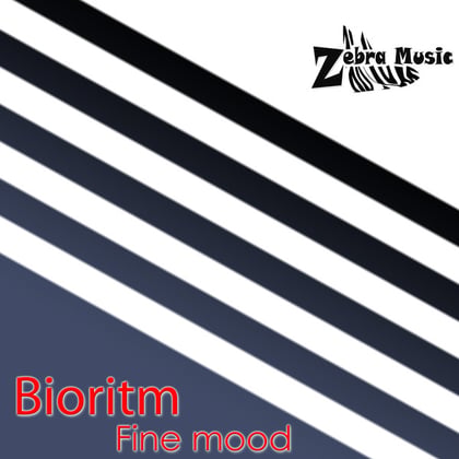 Fine Mood album by Bioritm - Drum and Bass Cover Art