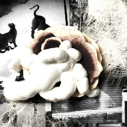 Entanglement album by VVV - Drum and Bass Cover Art