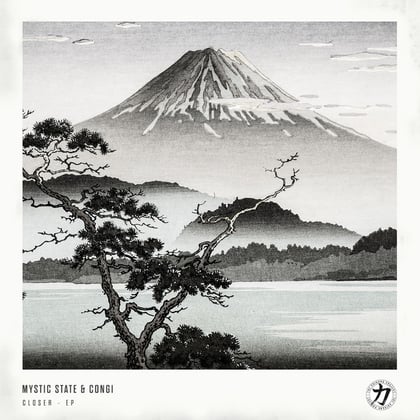 Closer album by LSB & Congi - Drum and Bass Cover Art