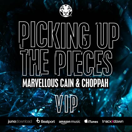 Picking Up The-Peices (VIP) album by Marvellous Cain - Drum and Bass Cover Art