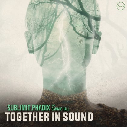 Together In Sound album by Sublimit, Phadix & Sammie Hall - Drum and Bass Cover Art