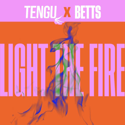 Light The Fire album by Tengu - Drum and Bass Cover Art