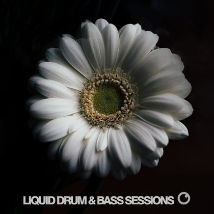 Liquid Drum and Bass Sessions 2019 Vol 2 album by Dreazz - Drum and Bass Cover Art