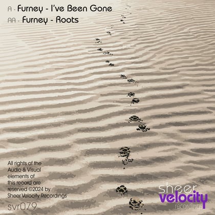 I've Been Gone / Roots album by Furney - Drum and Bass Cover Art